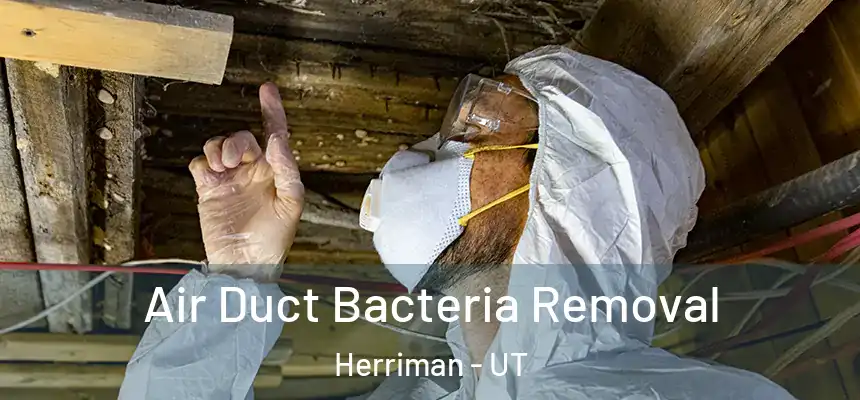  Air Duct Bacteria Removal Herriman - UT