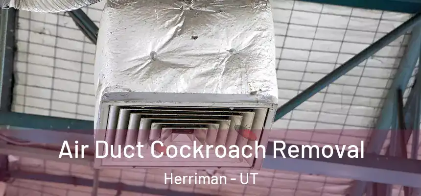  Air Duct Cockroach Removal Herriman - UT