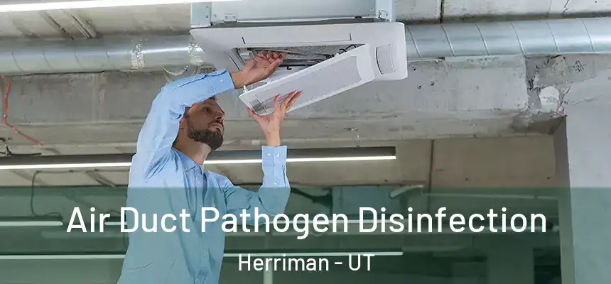  Air Duct Pathogen Disinfection Herriman - UT