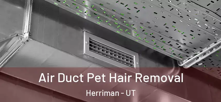  Air Duct Pet Hair Removal Herriman - UT