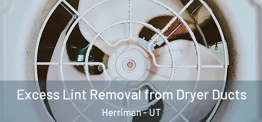 Excess Lint Removal from Dryer Ducts Herriman - UT
