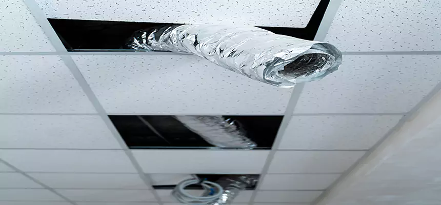 Affordable HVAC Sanitizing After Pest Removal in Herriman