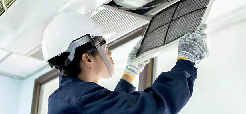 Our Mold & Mildew Removal from Air Ducts Services in Herriman, UT