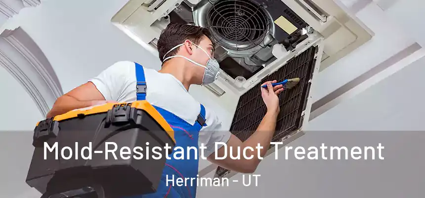 Mold-Resistant Duct Treatment Herriman - UT