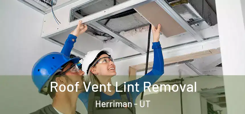  Roof Vent Lint Removal Herriman - UT