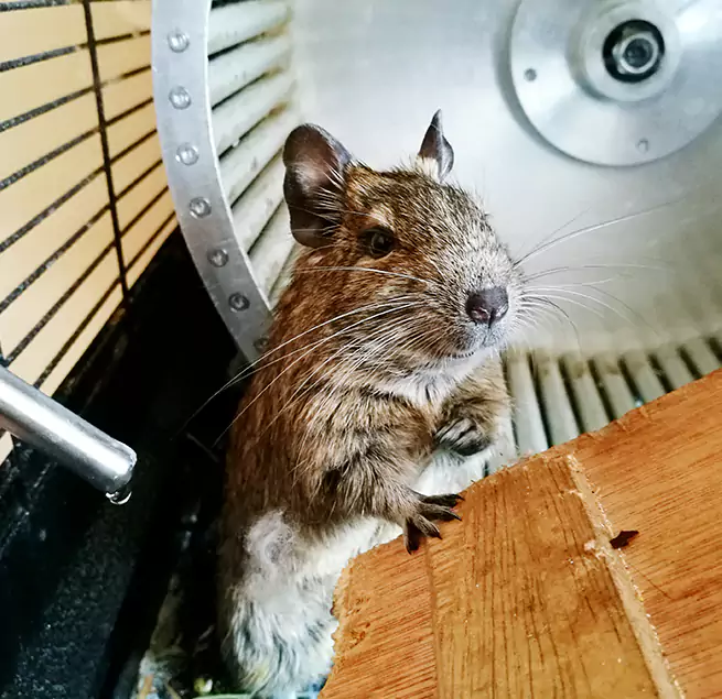 Why Homeowners & Businesses Trust Us Herriman, UT