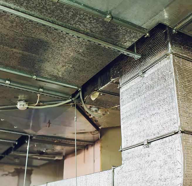 Why Homeowners & Businesses Trust Us in Herriman, UT?